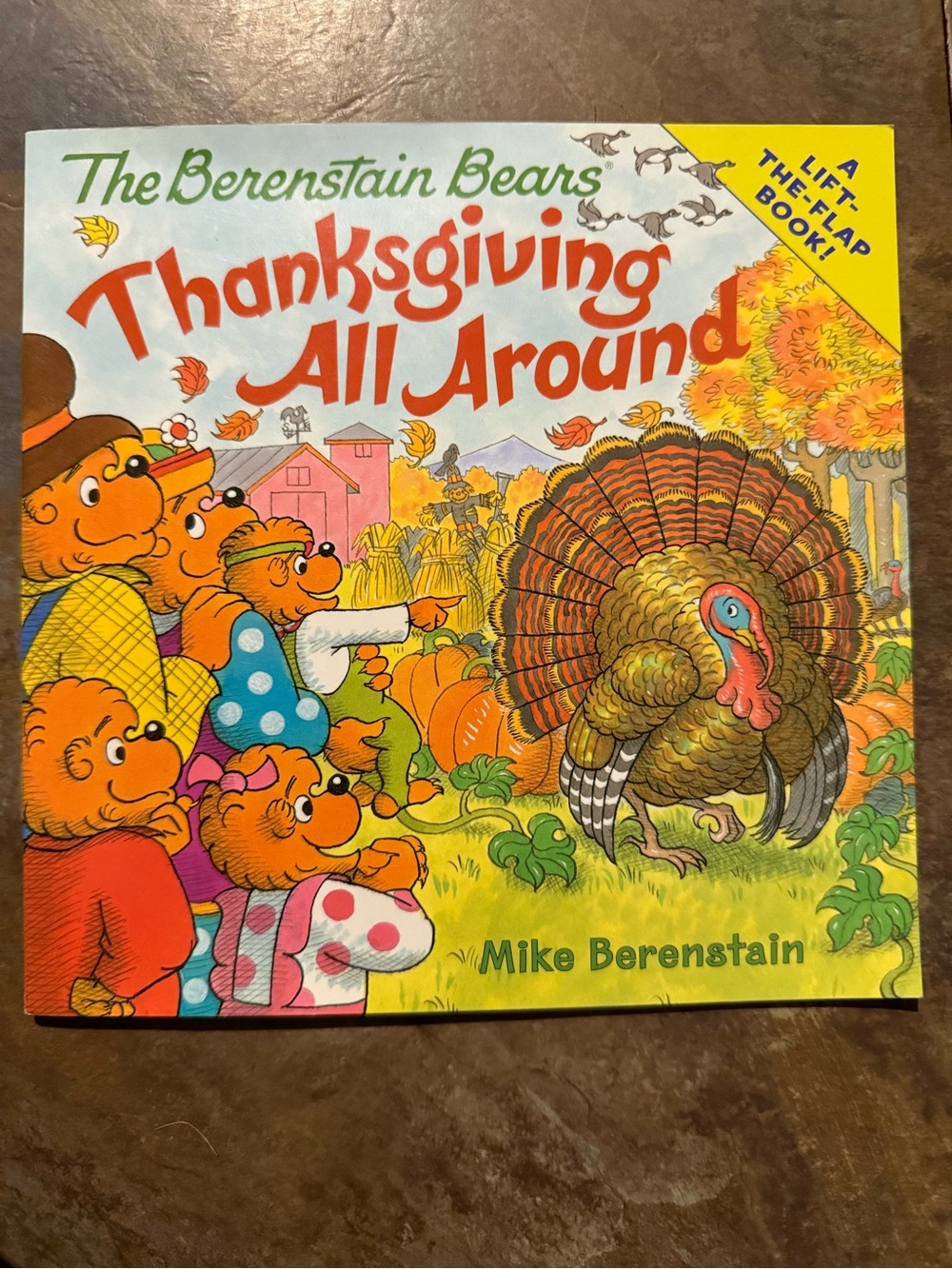 The Berenstain Bears Flap Book